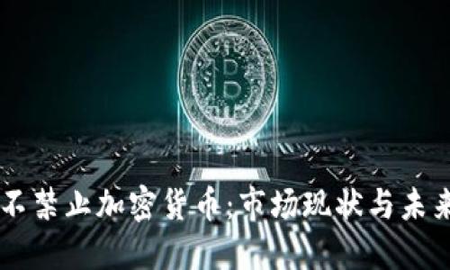 印度不禁止加密货币：市场现状与未来展望