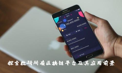 探索数研所有区块链平台及其应用前景