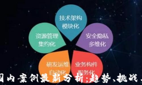 
加密货币国内案例最新分析：趋势、挑战与未来展望