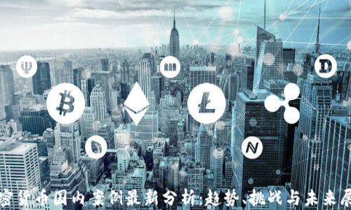 
加密货币国内案例最新分析：趋势、挑战与未来展望