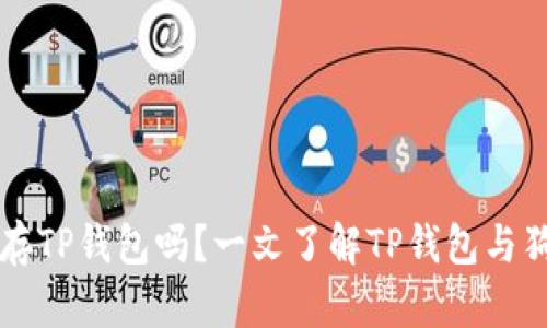 狗狗币可以存TP钱包吗？一文了解TP钱包与狗狗币的关系
