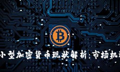 2023年小型加密货币现状解析：市场机遇与风险