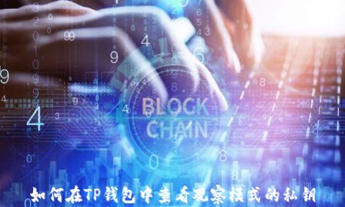 
如何在TP钱包中查看观察模式的私钥