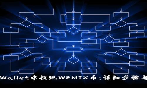 如何在TPWallet中提现WEMIX币：详细步骤与注意事项
