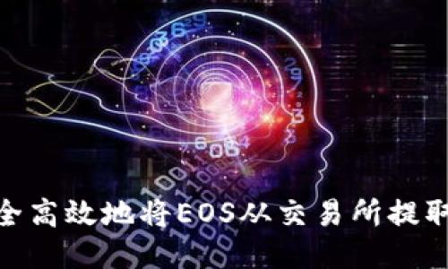 : 如何安全高效地将EOS从交易所提取到TP钱包