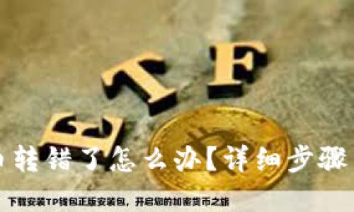 TP钱包转币转错了怎么办？详细步骤与解决方案