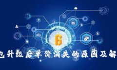  TP钱包升级后单价消失的原因及解决方案