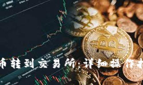TP钱包如何将币转到交易所：详细操作指南与注意事项