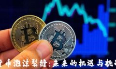 加密货币泡沫裂缝：未来