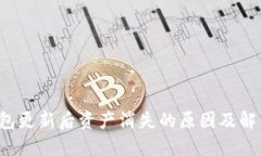  TP钱包更新后资产消失的
