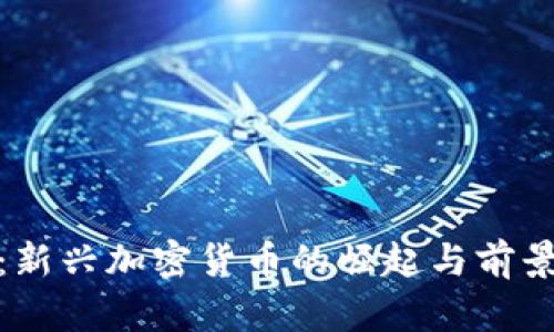 Pi币：新兴加密货币的崛起与前景分析