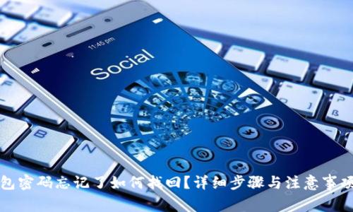 TP钱包密码忘记了如何找回？详细步骤与注意事项解析