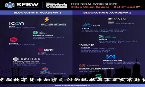 中国数字货币加密支付的现状与未来发展趋势