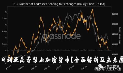 尼日利亚是否禁止加密货币？全面解析及未来展望