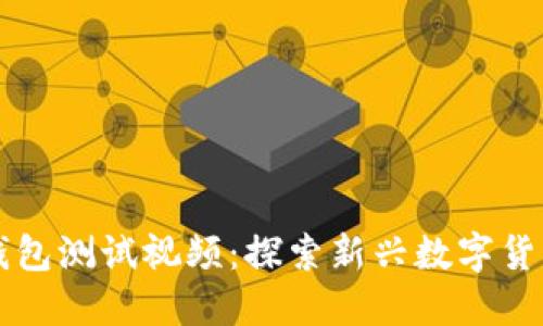 中本聪TP钱包测试视频：探索新兴数字货币管理工具