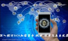 深入探讨BCH加密货币：现