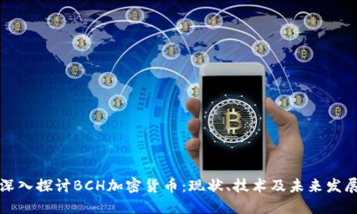 深入探讨BCH加密货币：现状、技术及未来发展
