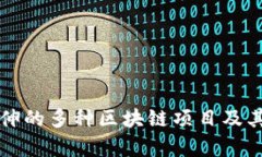 TP钱包延伸的多种区块链项