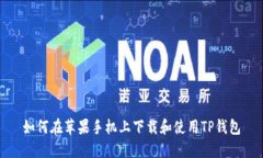 如何在苹果手机上下载和