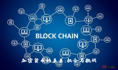 加密货币的未来：机会与挑战