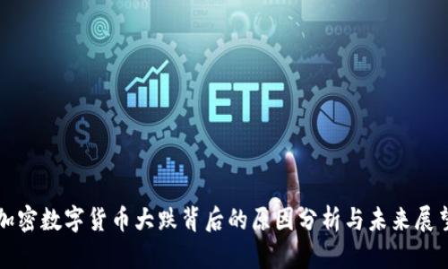 加密数字货币大跌背后的原因分析与未来展望