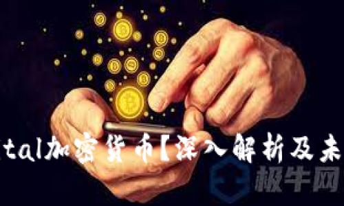 什么是Capital加密货币？深入解析及未来发展趋势