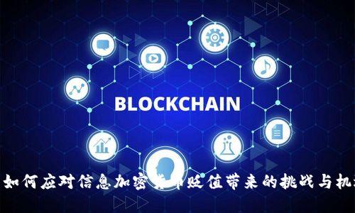 : 如何应对信息加密货币贬值带来的挑战与机遇