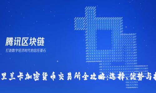  斯里兰卡加密货币交易所全攻略：选择、优势与挑战