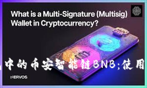 深入剖析TP钱包中的币安智能链BNB：使用指南与投资前景