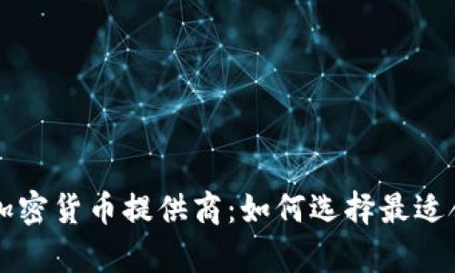 全面解析加密货币提供商：如何选择最适合你的平台