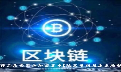 荷兰是否禁止加密货币？政策分析与未来趋势