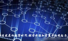 在快速发展的数字时代：