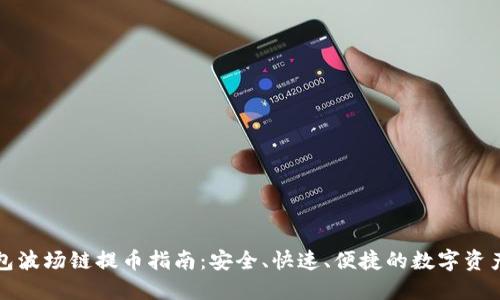TP钱包波场链提币指南：安全、快速、便捷的数字资产管理