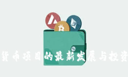加密货币项目的最新发展与投资指南