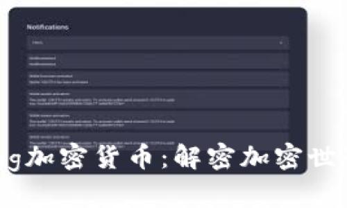 DogeKing加密货币：解密加密世界的新星