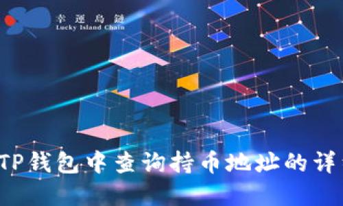 优质 如何在TP钱包中查询持币地址的详细步骤与技巧