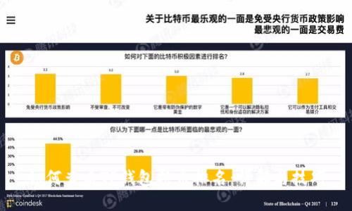 如何查看TP钱包持币排名：详解与技巧
