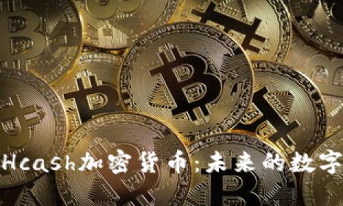 深入了解Hcash加密货币：未来的数字货币之选
