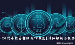 TRC-20代币能否转账到TP钱包