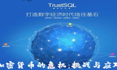
投资加密货币的危机：挑战与应对策略