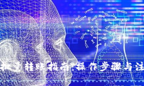 TP钱包批量转账指南：操作步骤与注意事项