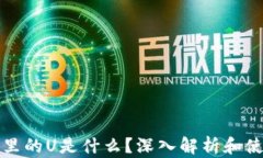 TP钱包里的U是什么？深入