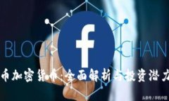 鲸鱼币加密货币：全面解