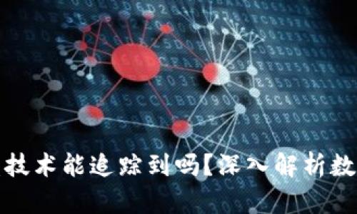 TP钱包币被盗技术能追踪到吗？深入解析数字货币安全性