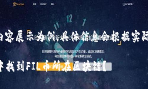 取得信息中的内容展示为例，具体信息会根据实际情况有所不同。

如何在TP钱包中找到FIL币所在区块链？