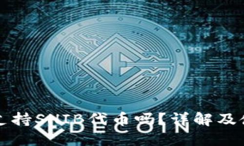 TP钱包支持SHIB代币吗？详解及使用指南