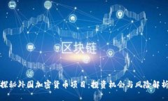 探秘外国加密货币项目：