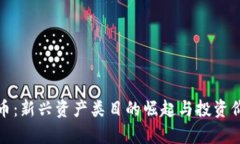 加密货币：新兴资产类目