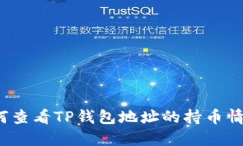 如何查看TP钱包地址的持币情况？