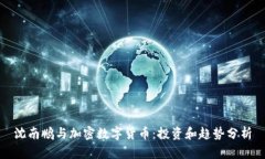 沈南鹏与加密数字货币：